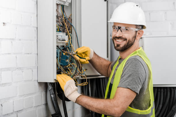 Best Ceiling Fan Installation Electrician  in Holgate, OH